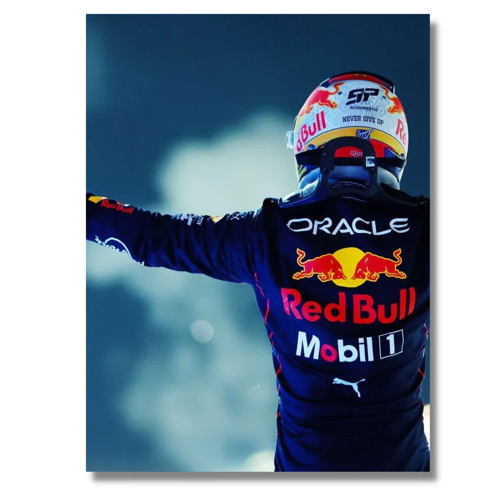 Cuadro Formula 1 Max Vestappen 1