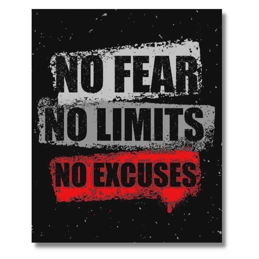 Cuadro "No Fear, No Limits, No Excuses" 1