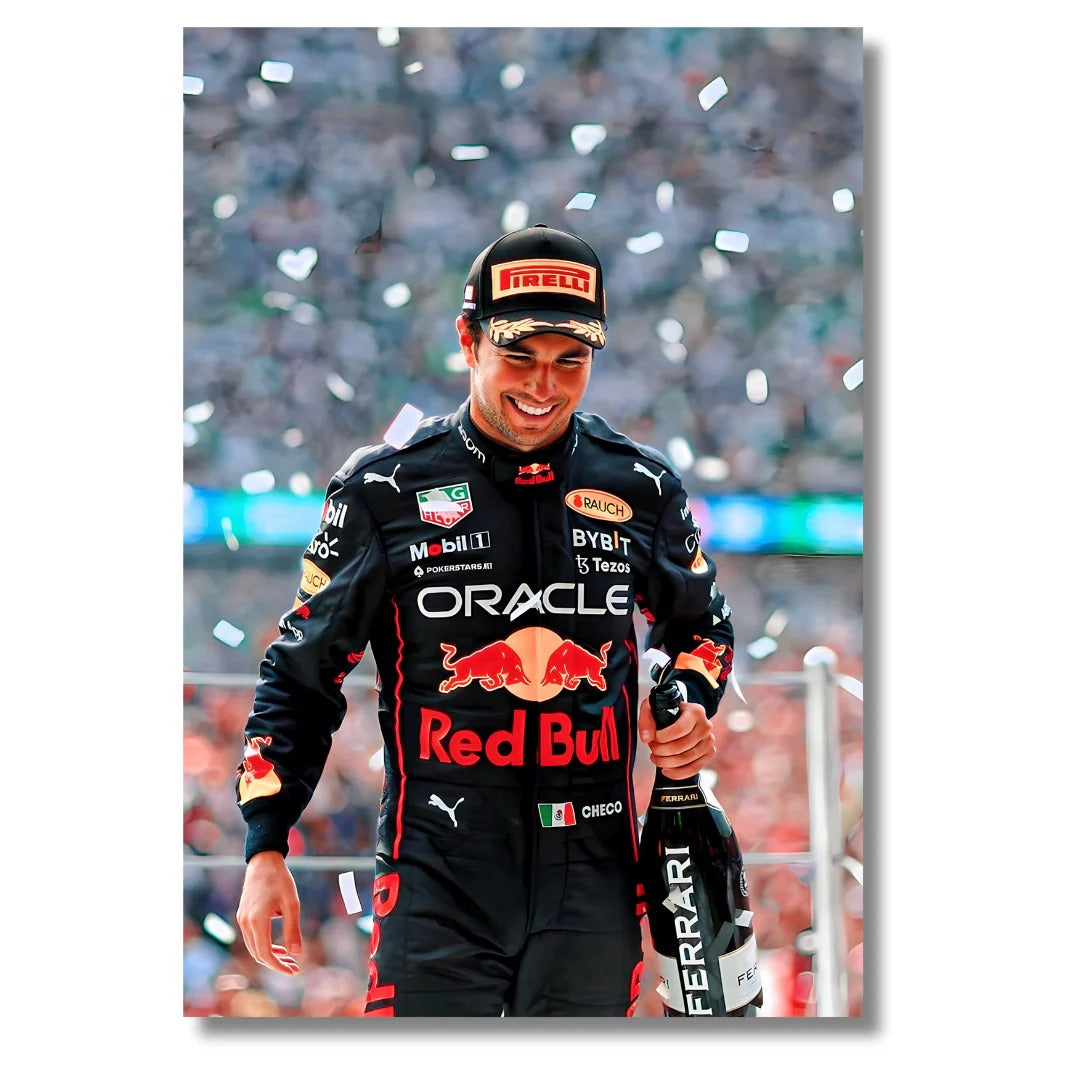 Cuadro Formula 1 Max Verstappen 2
